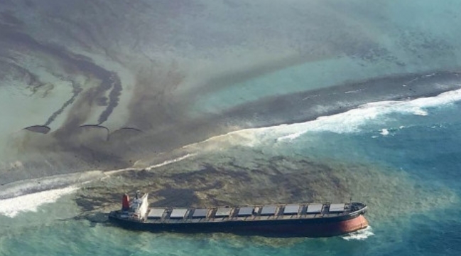 Marine Cloud Berguna untuk Pengelolaan Pesisir yang Lebih Modern
