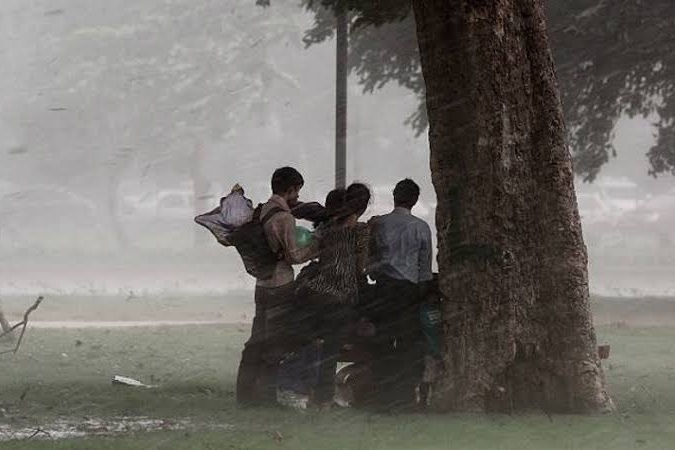Alasan Kenapa Jangan Berteduh di Bawah Pohon saat Hujan