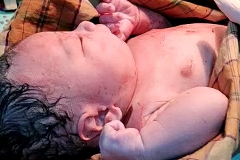 Bayi Baru Lahir Ditemukan di Semak-semak Panongan Tangerang